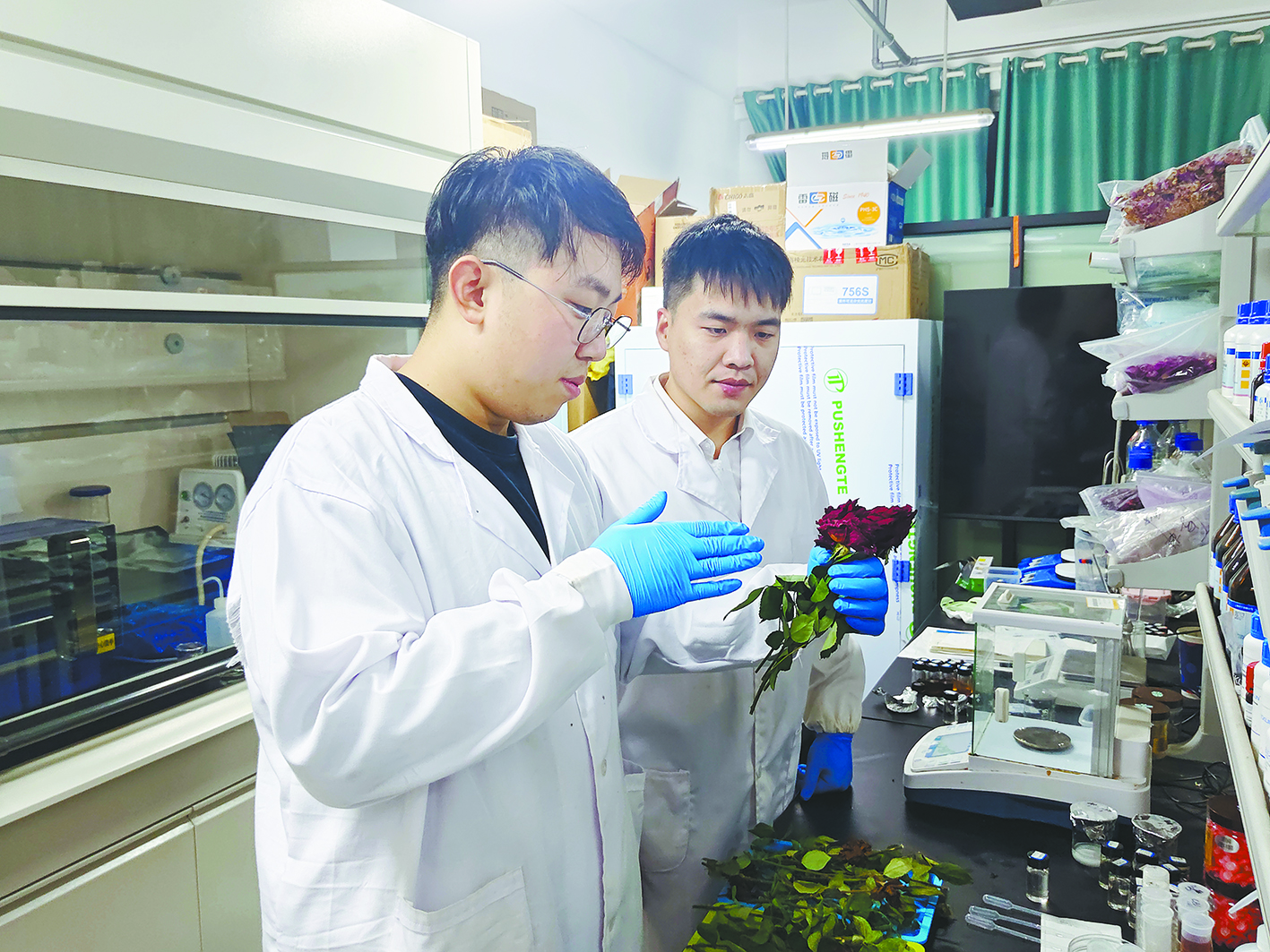 威廉希尔体育