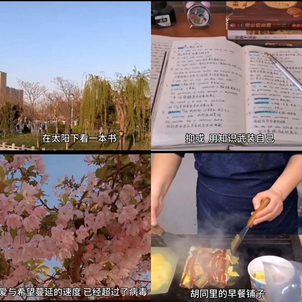 威廉希尔体育