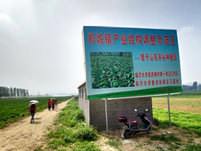 威廉希尔体育