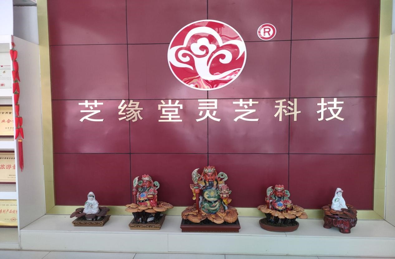 威廉希尔体育